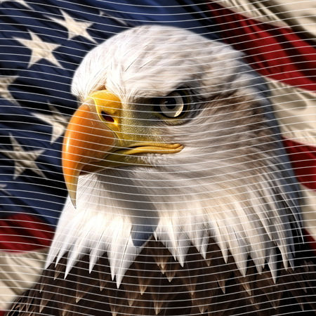 20oz integrate-EJ-10644